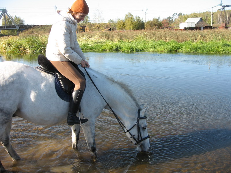 IMG_1239.jpg1.jpg"%20height="600"%20width="800